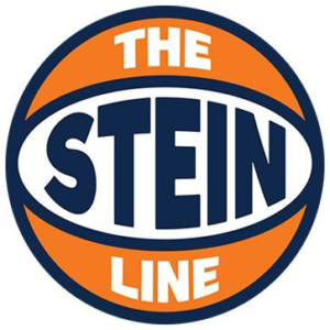 The Stein line logo
